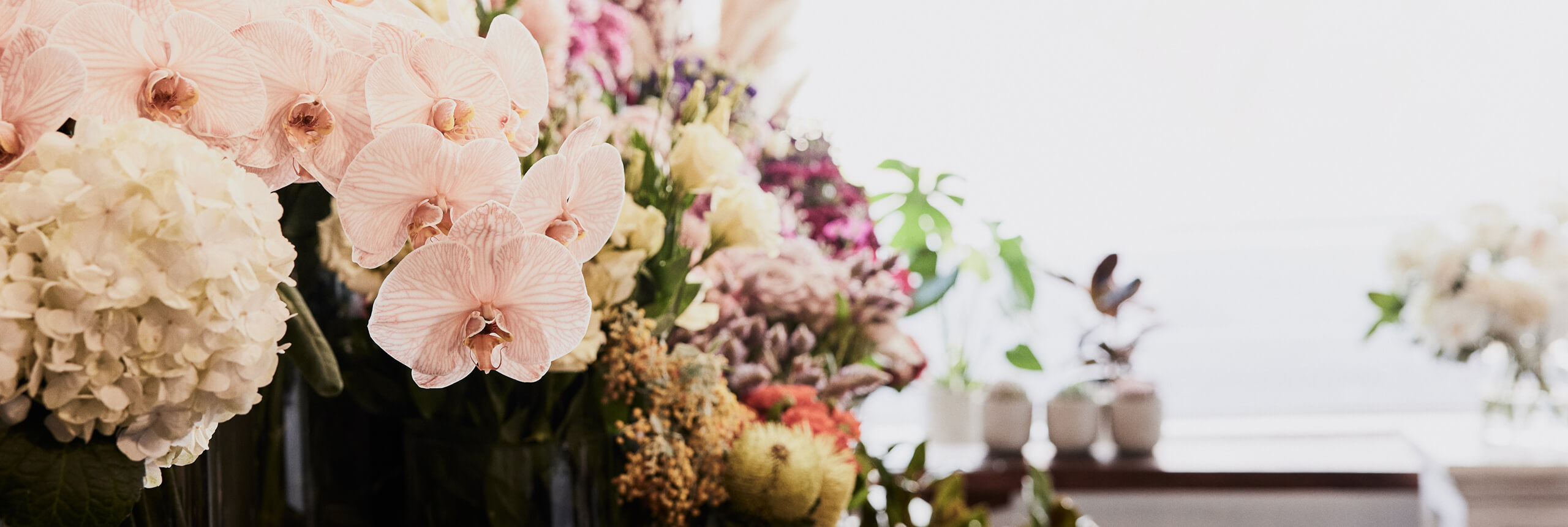 Same Day Flower Delivery Collingwood I The Flower Shed