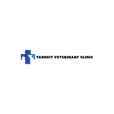 Pet Dental Care in Tarneit: Healthy Teeth for a Happy Pet