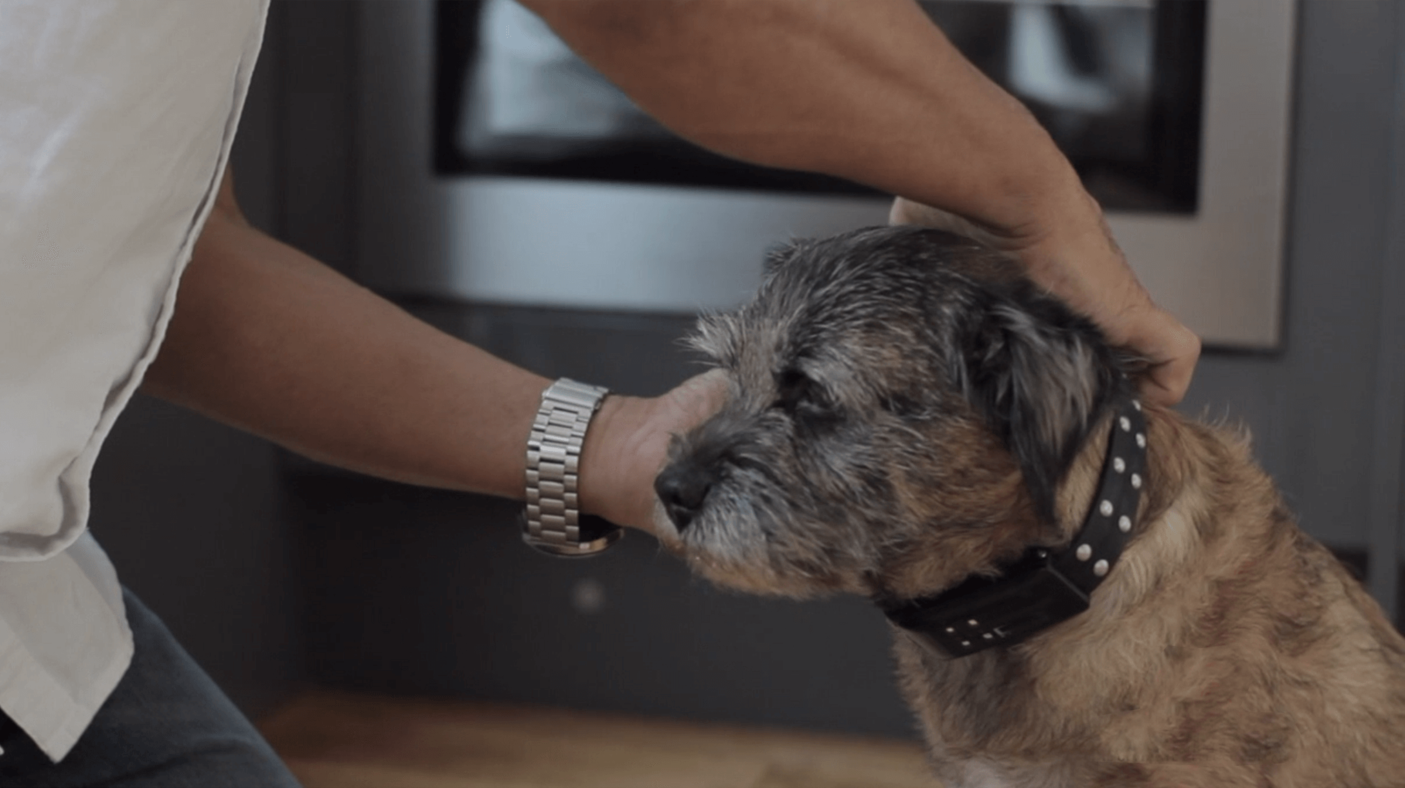 Redefining Pet Safety With The Ultimate Dog Defence Collar