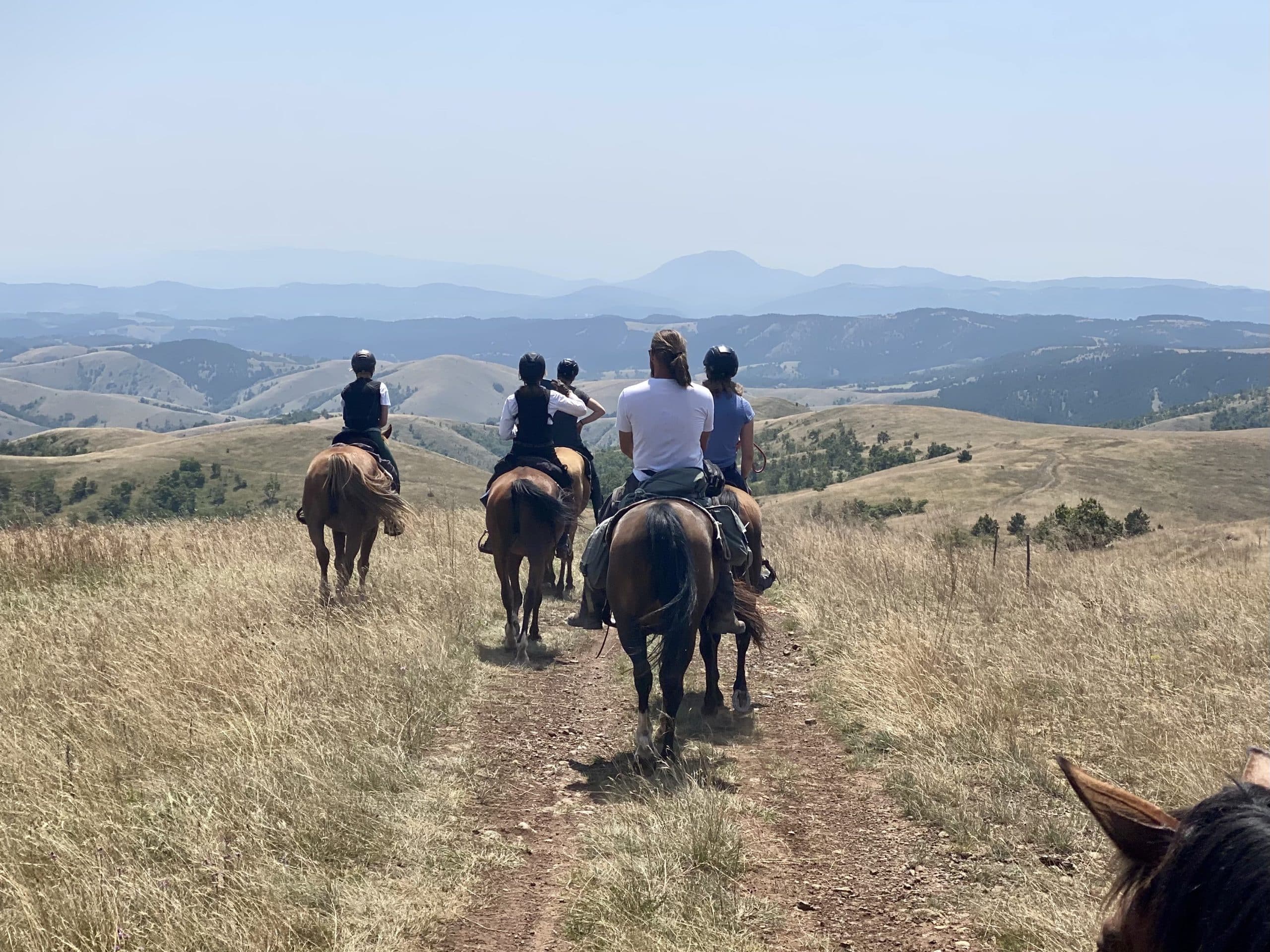 Home - Horse Adventure Serbia