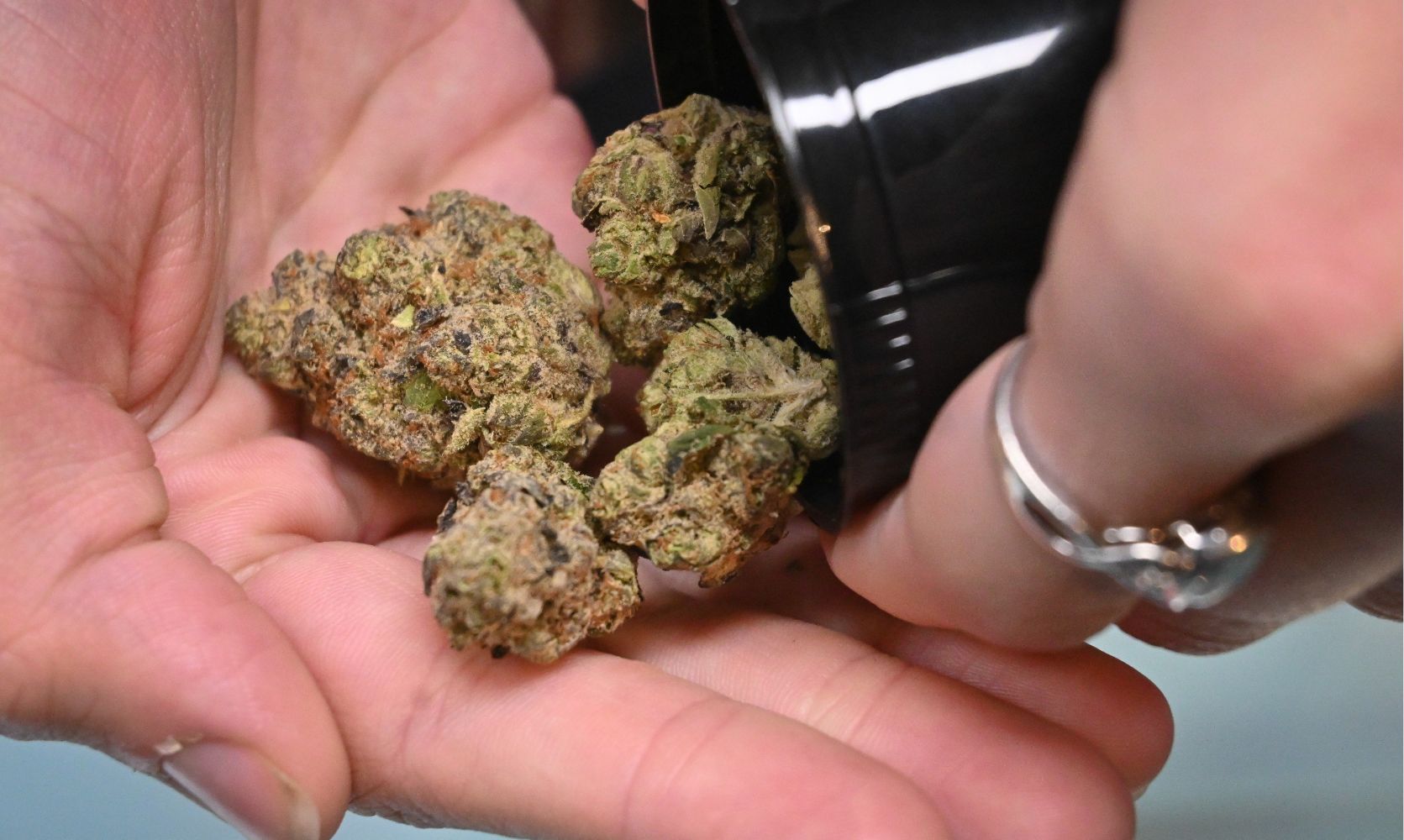 Get More For Less With The Cheapest Weed Online in Canada