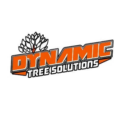 Dynamic Solutions Profile Picture