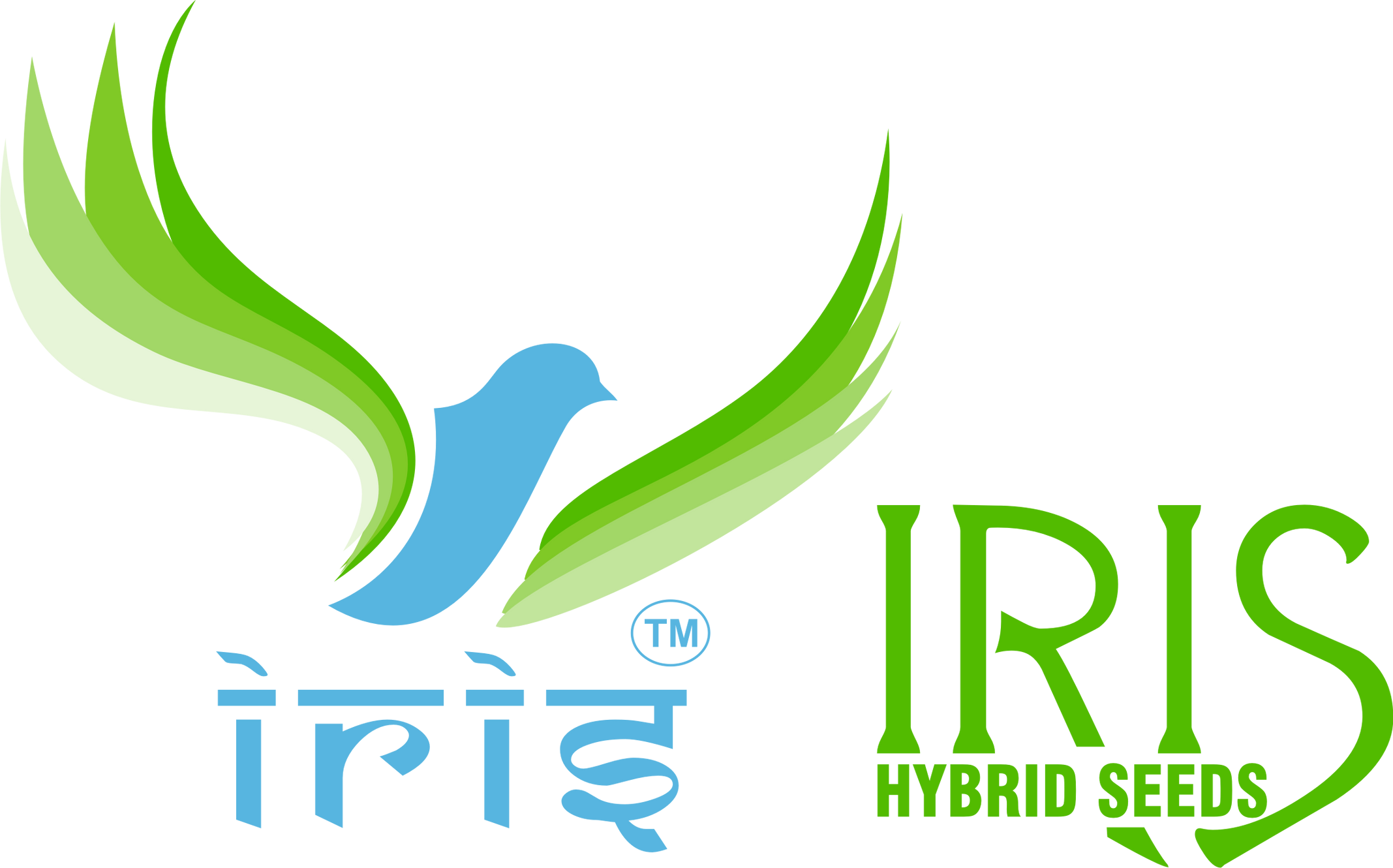 Best Seed Company in India | IRIS Hybrid Seeds