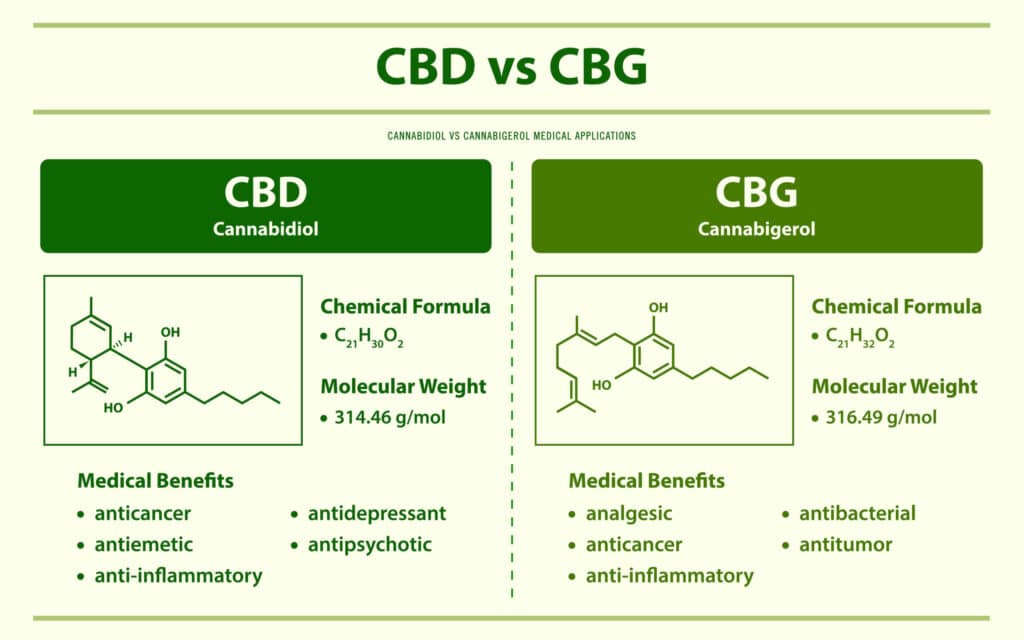 Discovering the Benefits of CBD and CBG: A Comprehensive Guide | CBD Armour