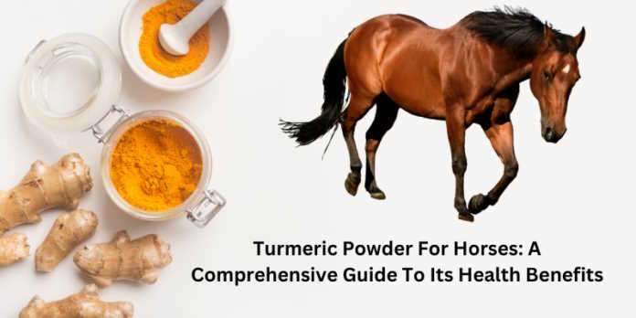 Turmeric Powder For Horses: A Comprehensive Guide To Its Health Benefits