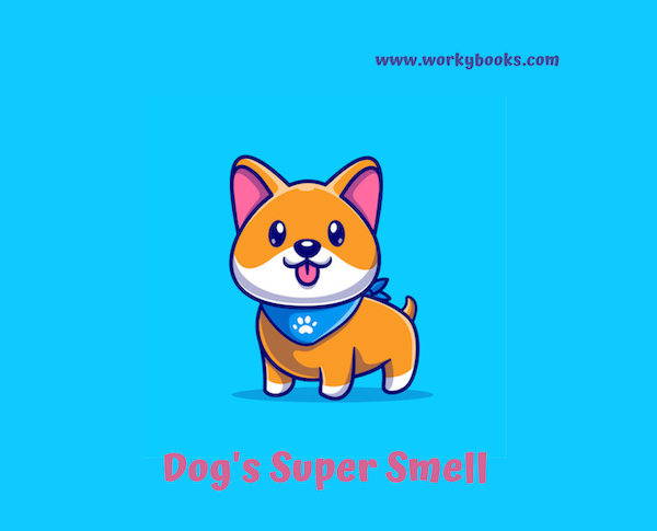 The Amazing World of Dog Smells! | Workybooks