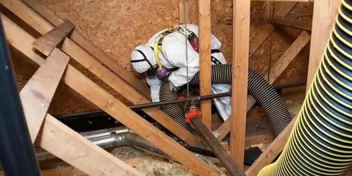 Professional Insulation Removal Services: Ensuring Efficiency and Safety in Pensacola, FL