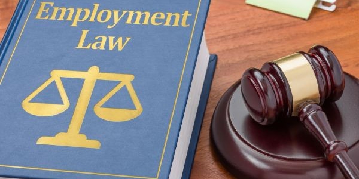 Top Employment Lawyer in Toronto