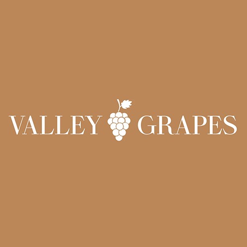 valleygrapes GmbH Profile Picture