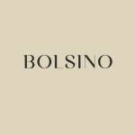 BOLSINO profile picture