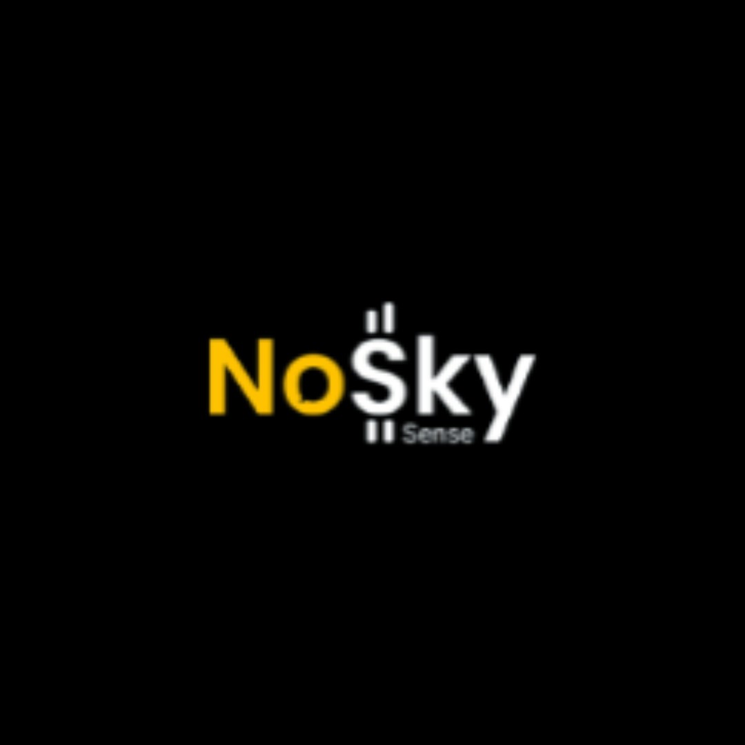 NoSky Sense Profile Picture