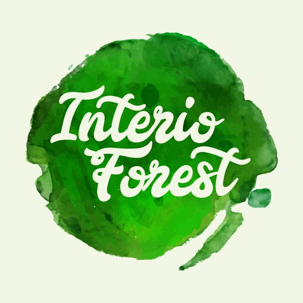 Intero Forest Profile Picture