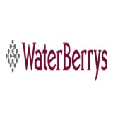 Water Berrys Profile Picture