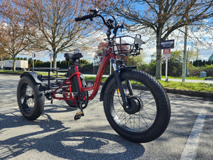 Learn About the Advantages of BC’s Electric Bike Rebate Program | Richmond e-bike Ltd.