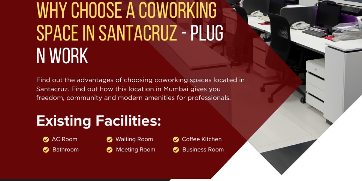 Why Choose a Coworking Space in Santacruz - plug n work