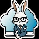 Rabbit Cloud Profile Picture