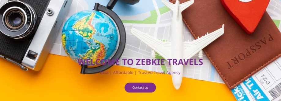 Zebkie Travels Cover Image