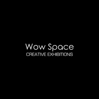 Wow Space Creative Exhibitions Profile Picture