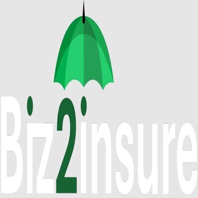 Biz2Insure Profile Picture