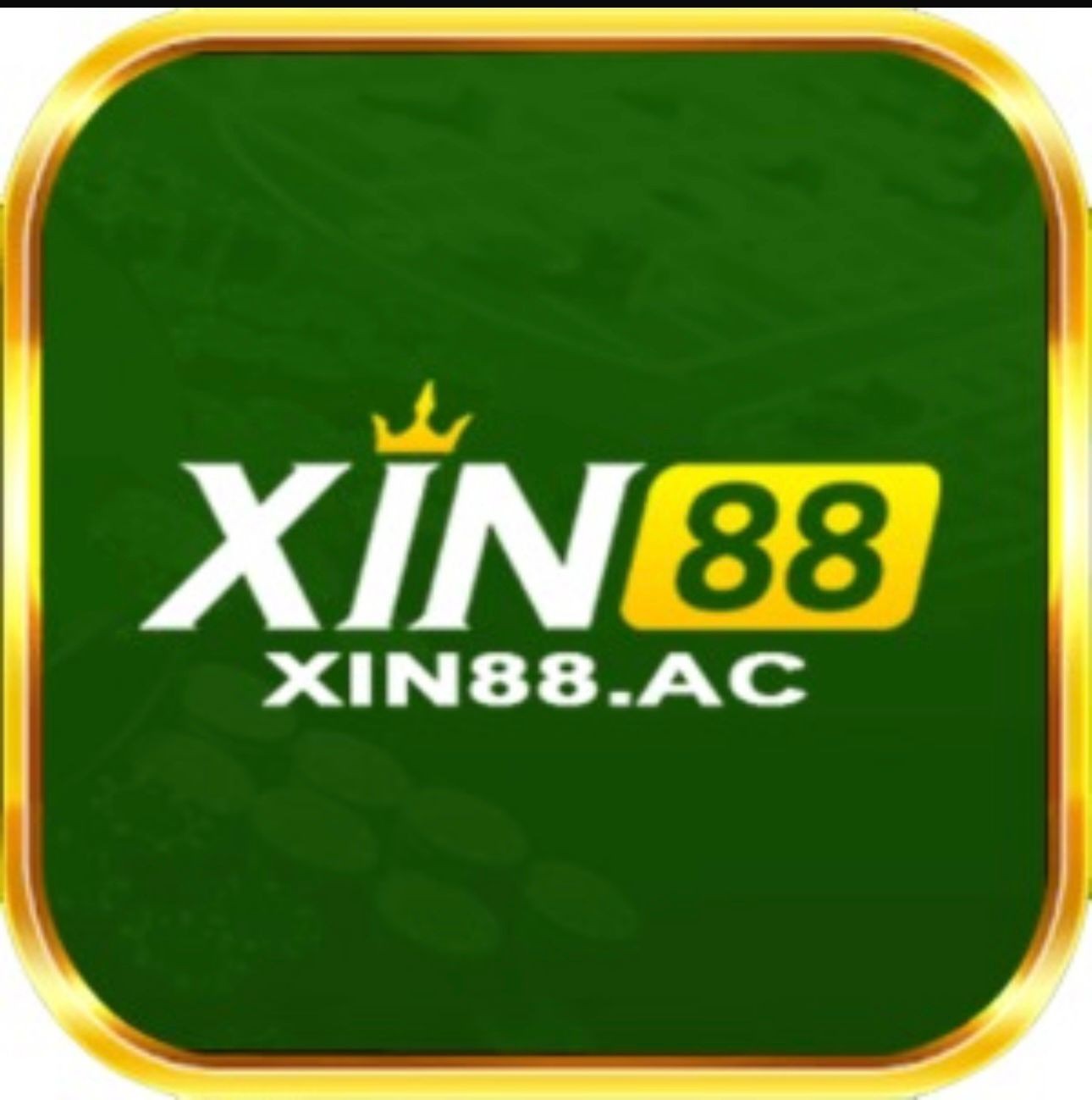 Xin88 cymru Profile Picture