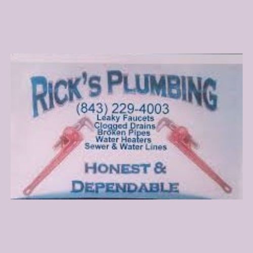 Ricks Plumbing Profile Picture