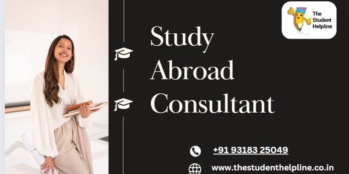 Expert Guidance: The Role of a Study Abroad Consultant in Your Success