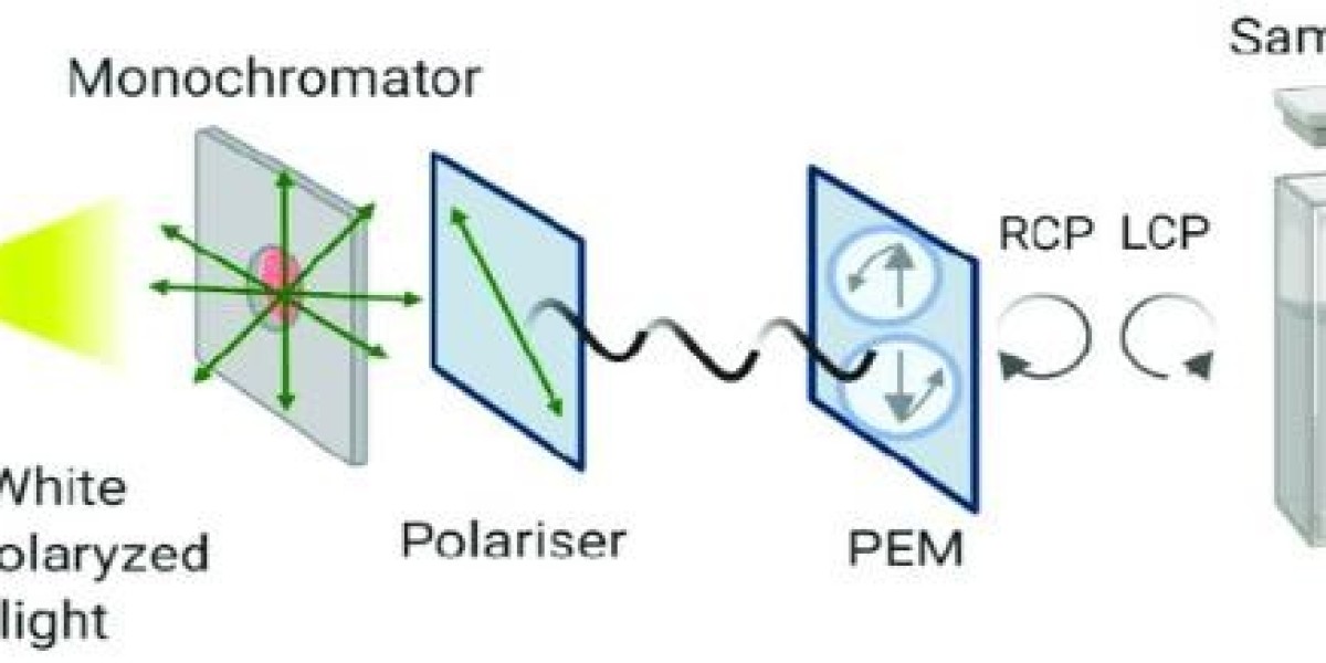 Circular Dichroism Spectroscopy in Protein Research