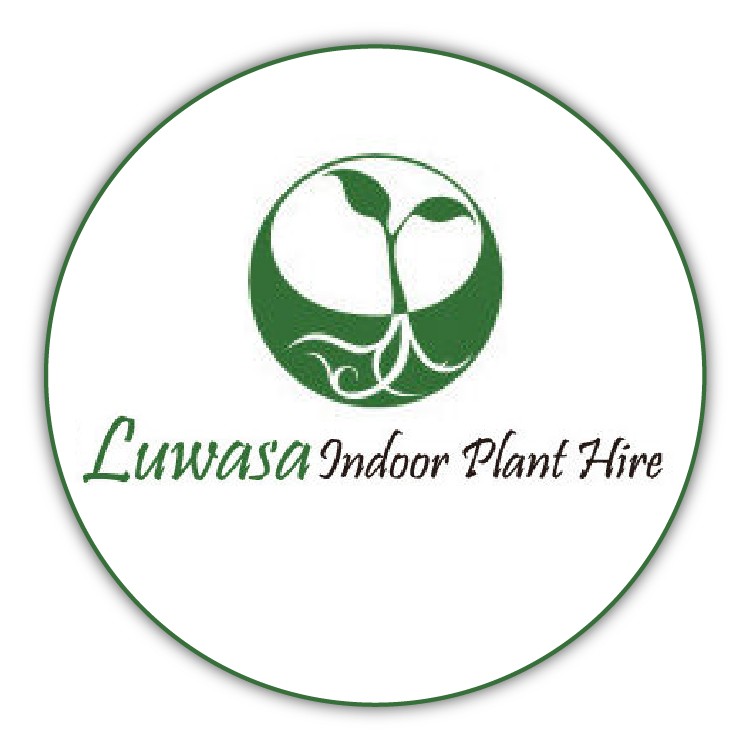 Luwasa Indoor Plant Hire Profile Picture