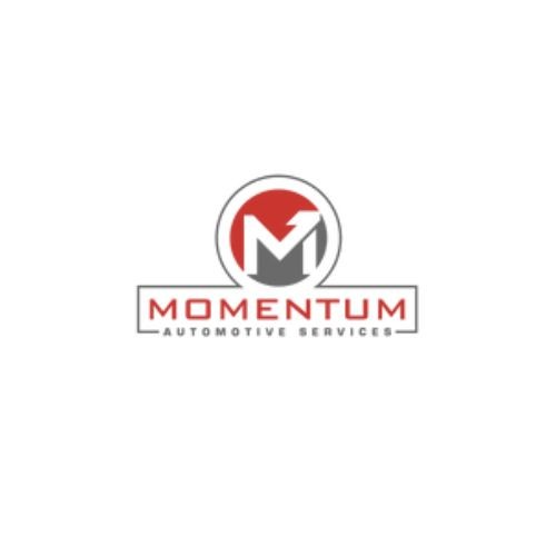 Momentum ddm Profile Picture