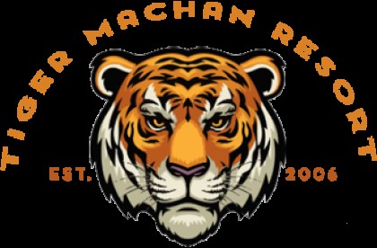 Tiger Machan Profile Picture