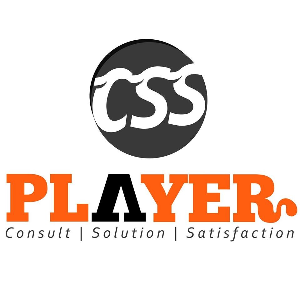 CSS player Profile Picture