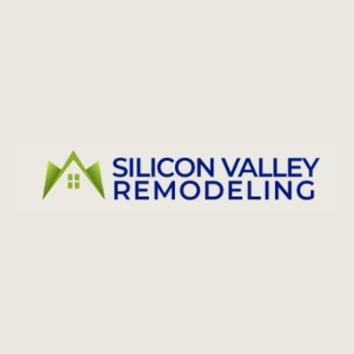 Silicon Remodeling Profile Picture