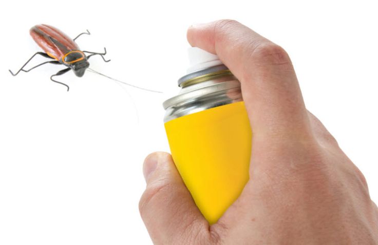 Household Insecticides Market is Witnessing Mass Adoption