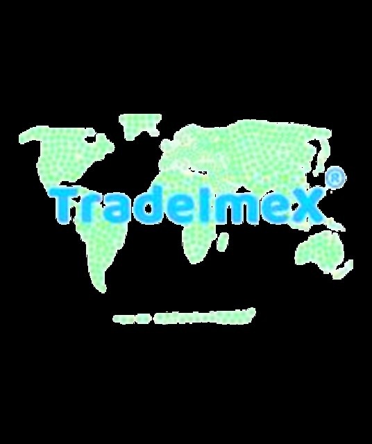 TradeImex Info Solutions Profile Picture