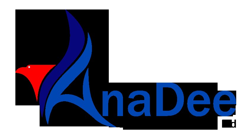 anadeedigitalsolutions Profile Picture