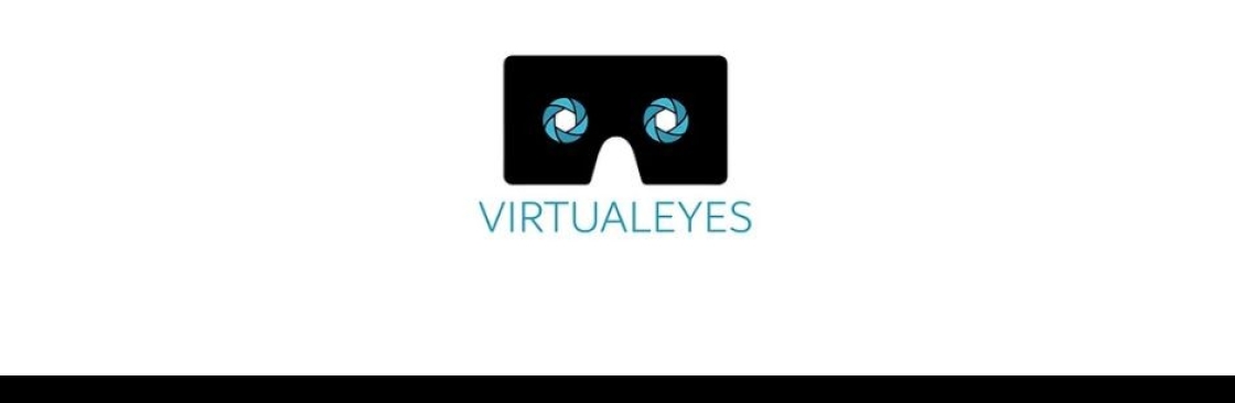 virtualeyes Cover Image