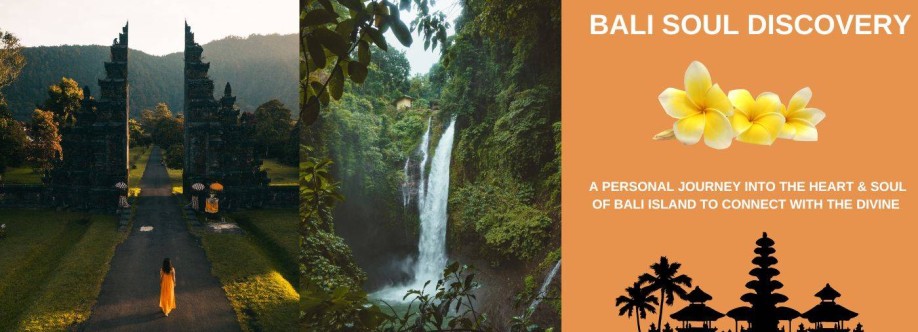 Bali Visits Cover Image