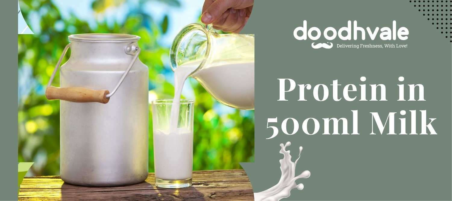 Protein In 500 ml Milk - Calories, Fat & Micronutrients