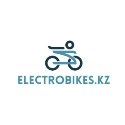 Electro Bikes Profile Picture