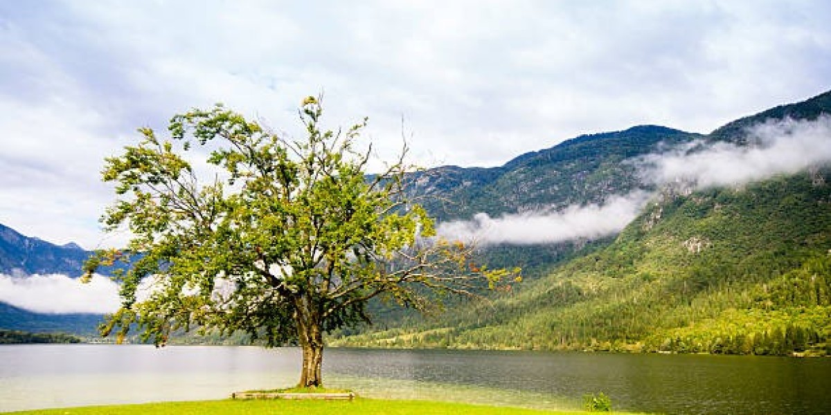 Wabi Sabi Resorts Relax and Rejuvenate with a One Day Picnic Near Igatpuri