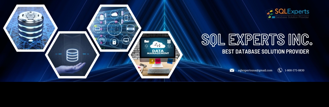 SQL Experts Inc. Cover Image