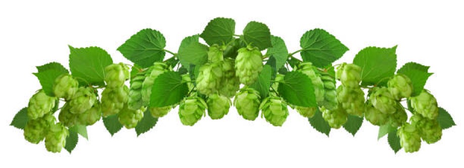 Hukins Hops Cover Image