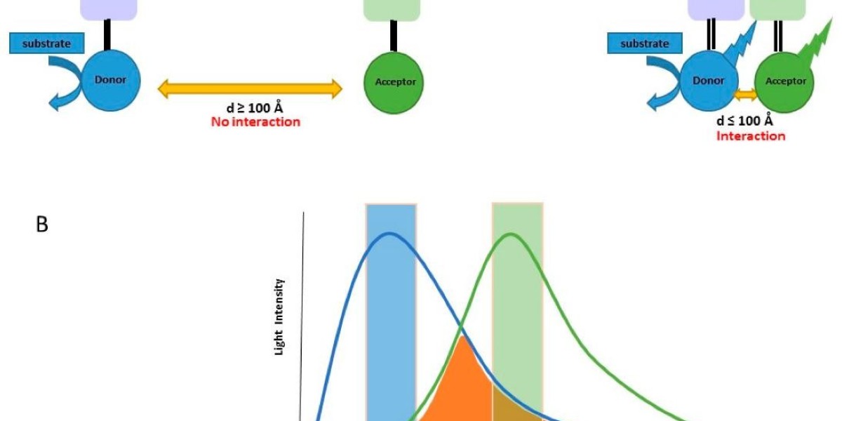 Bioluminescence Resonance Energy Transfer (BRET) Assay: Principle and Application