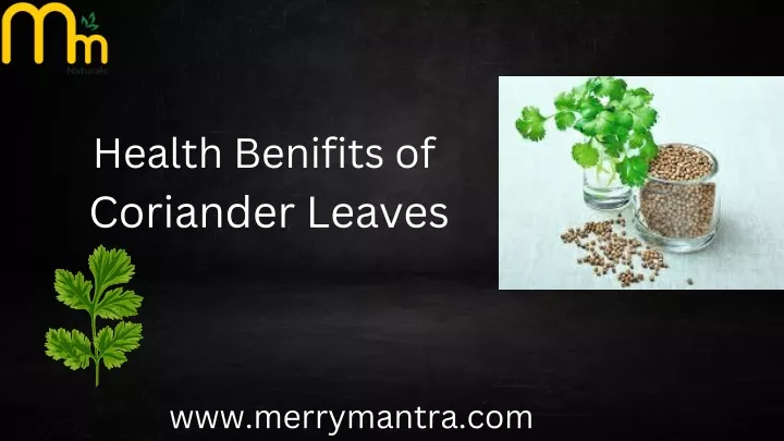 PPT - Health Benifits of Coriander Leaves PowerPoint Presentation, free download - ID:13594334