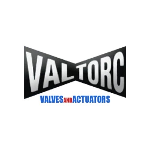 Valtorc International Profile Picture