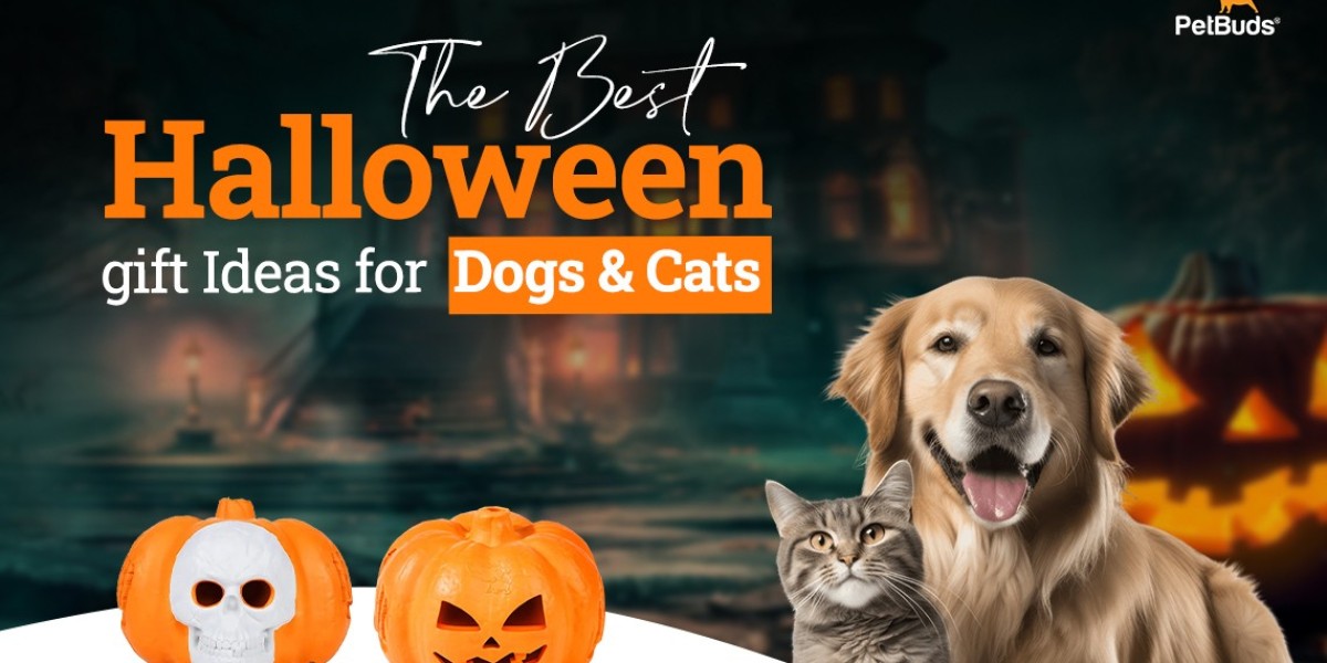 Halloween 2024: Best Gifts and Dog Toys Ideas to make it extra special