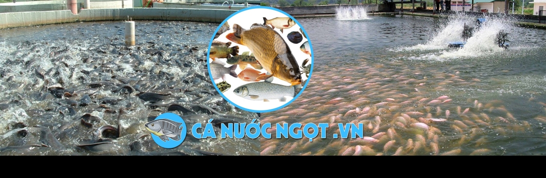 Kỹ Thuật Nuôi Cá Nước Ngọt Truyền Thống Và Thức Ăn Cho Cá Cover Image