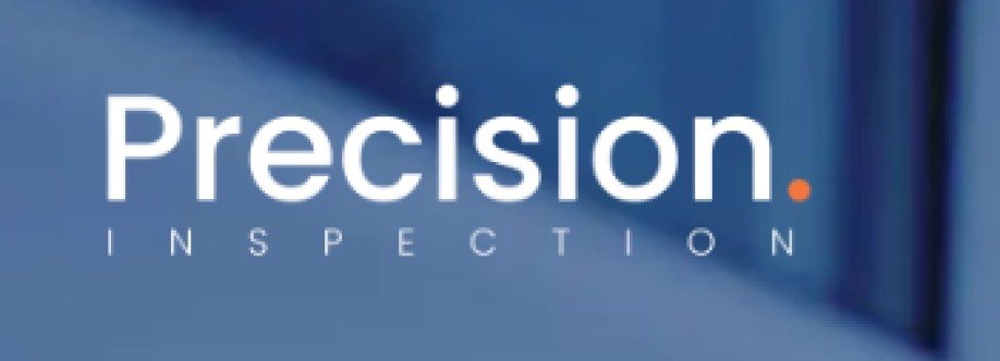 Precision Inspection Cover Image