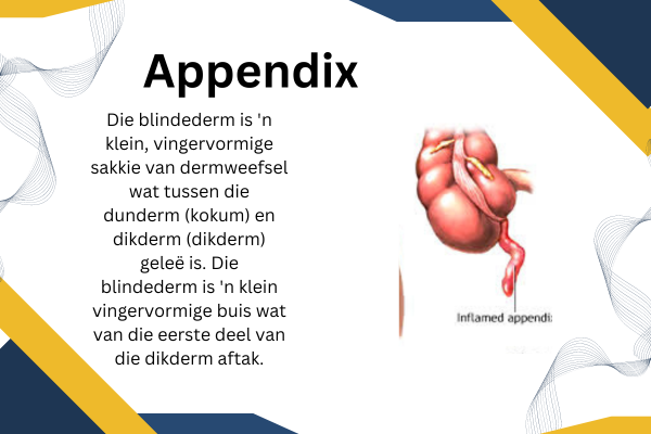 Appendix Treatment(Bylae Behandeling)