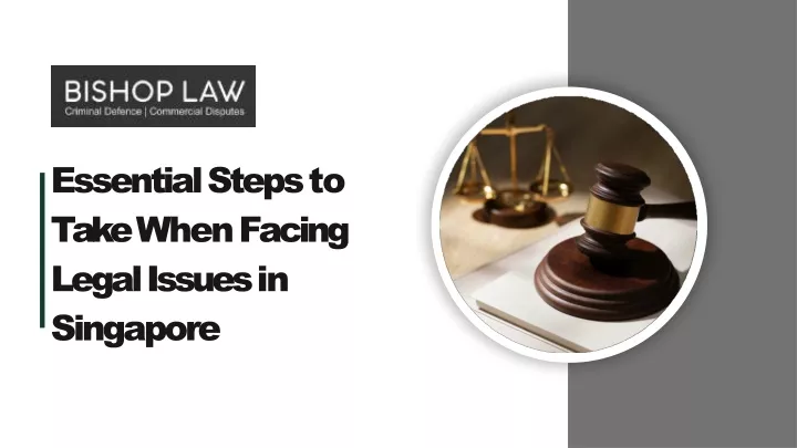 PPT - Essential Steps to Take When Facing Legal Issues in Singapore PowerPoint Presentation - ID:13688799